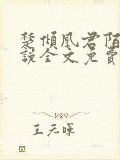 楚倾凰君陌尘小说全文免费阅读