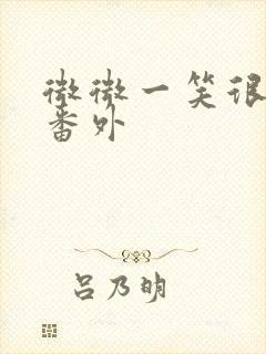 微微一笑很倾城番外