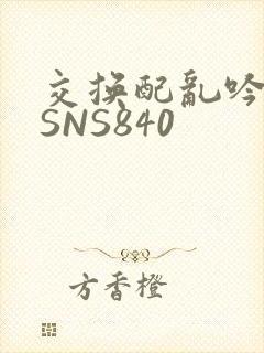 交换配乱吟粗大SNS840
