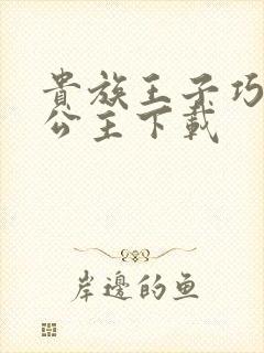 贵族王子巧遇穷公主下载