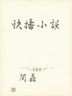 快播小说