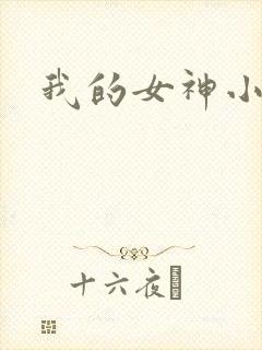 我的女神小说