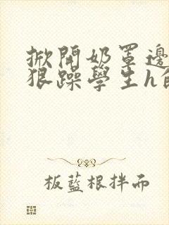 掀开奶罩边躁狠狠躁学生h的小说