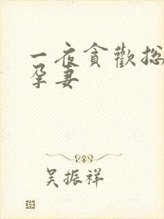 一夜贪欢总裁幸孕妻