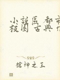 小说区 都市 校园 古典 偷拍