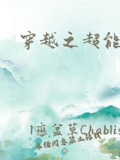 穿越之超能英雄