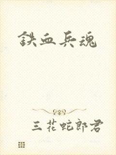 铁血兵魂