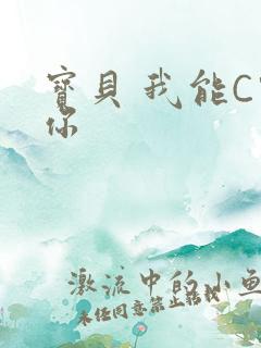 宝贝 我能C哭你