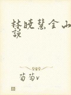 林晓慧金山的小说