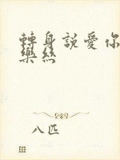 转身说爱你 白乐丝