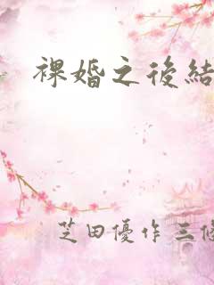 裸婚之后结局