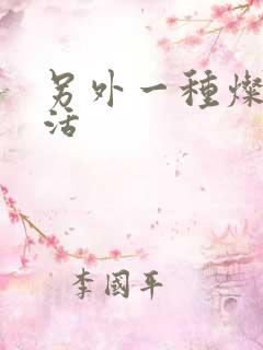 另外一种灿烂生活