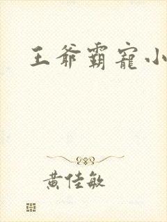 王爷霸宠小甜妻