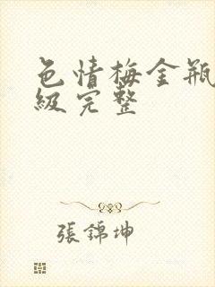 色情梅金瓶2三级完整