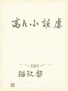 高h小说虐