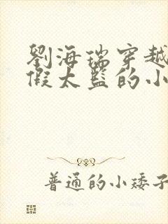 刘海瑞穿越后宫假太监的小说