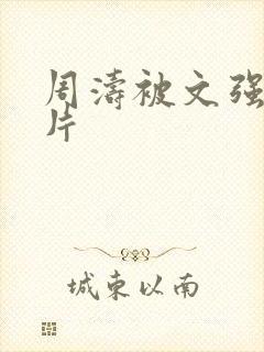 周涛被文强睡图片