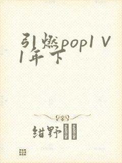 引燃pop1∨1年下