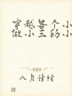 穿越各个小世界做小三的小说