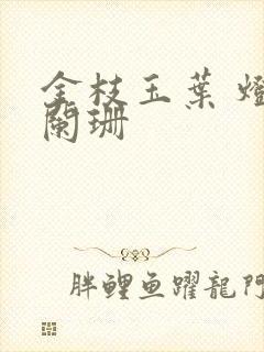 金枝玉叶 灯火阑珊