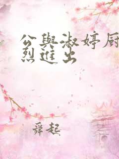 公与淑婷厨房猛烈进出