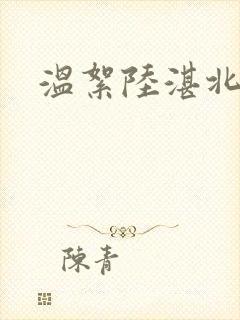 温絮陆湛北