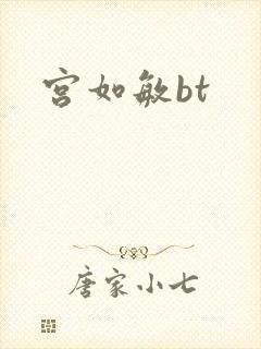 宫如敏bt