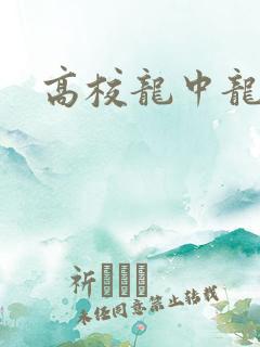 高校龙中龙下载