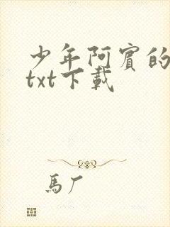 少年阿宾的故事txt下载