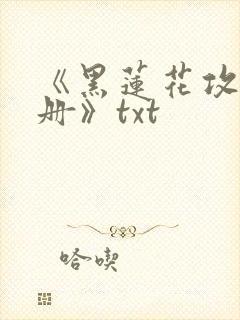 《黑莲花攻略手册》txt