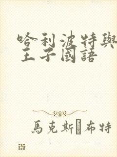 哈利波特与混血王子国语