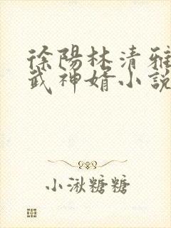 徐阳林清雅绝世武神婿小说