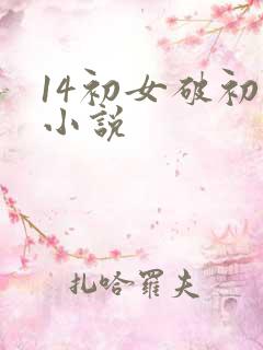 14初女破初的小说