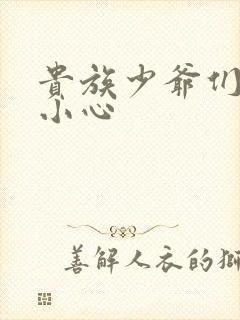 贵族少爷们 请小心