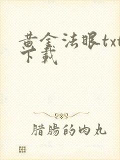黄金法眼txt下载