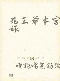 死王爷本宫已改嫁