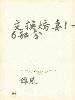 交换娇妻1一36部分