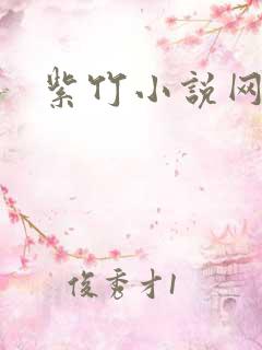 紫竹小说网