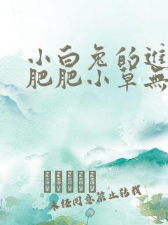 小白兔的进化史肥肥小草无防盗