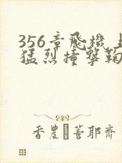 356章飞机上猛烈撞击鞠婧祎