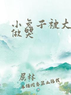 小兔子被大蟒蛇做哭