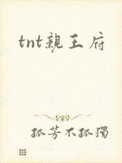 tnt亲王府
