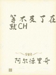 等不及了在车里就CH