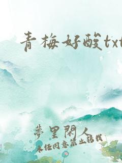 青梅好酸txt