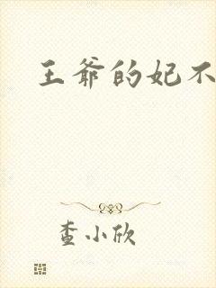 王爷的妃不是妃