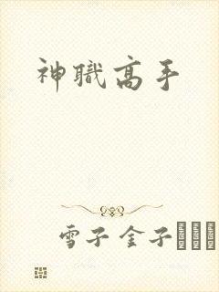 神职高手