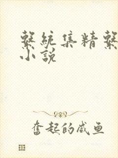 系统集精系统 小说