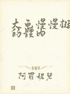 大龟慢慢挺进我的体内