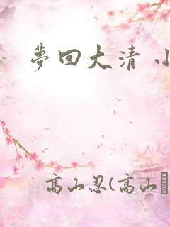梦回大清 小说