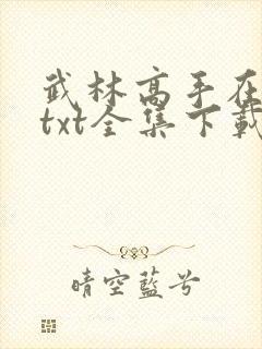武林高手在异世txt全集下载